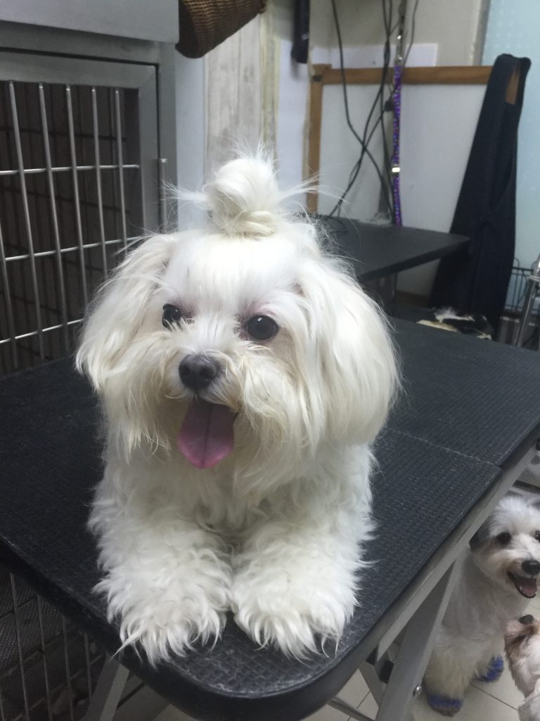 0050e10b-a672-41a4-95e2-6060fa6dc74c