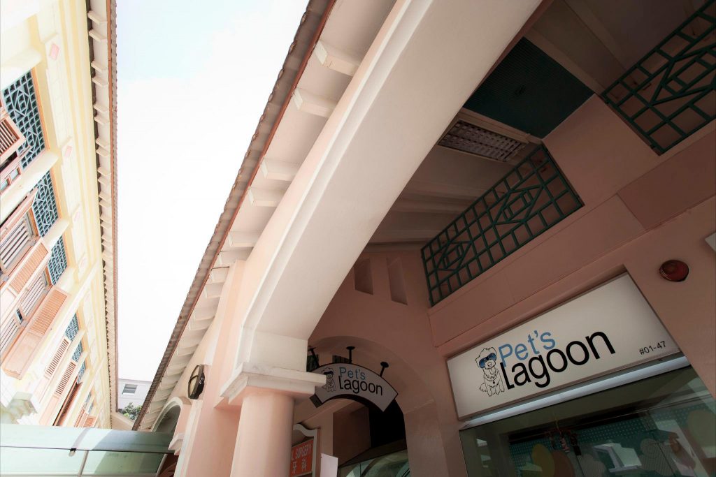 335093_457580117609864_1933085578_o