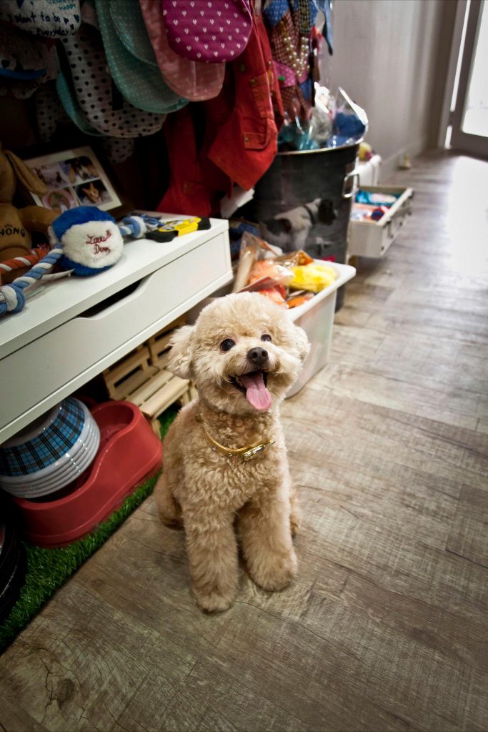 411423_457580357609840_189469901_o