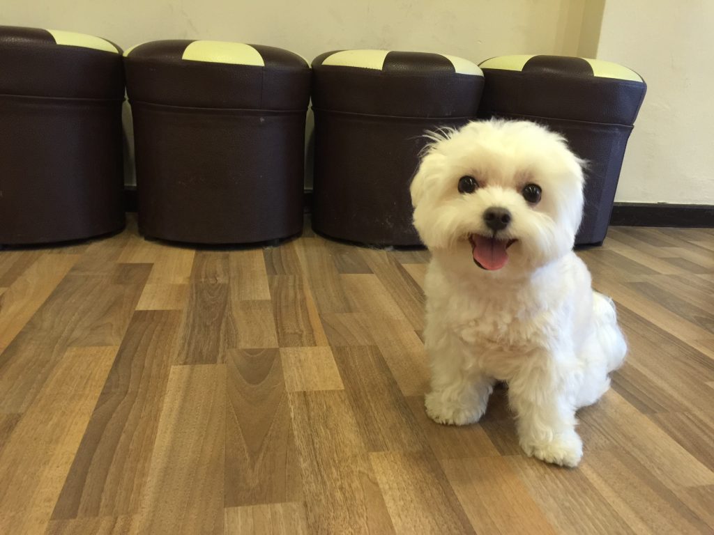 4468ba14-7df6-4607-ad60-6f7b7b911cd3