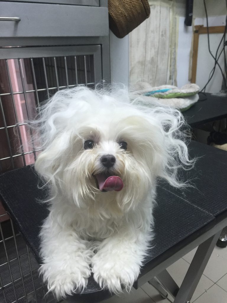 4edff085-b9b1-4d35-8b66-5893cb1038f2