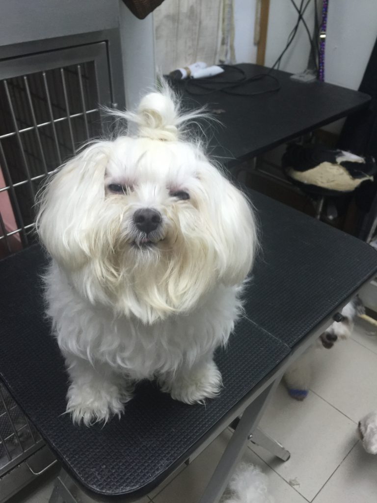 715333bc-d082-4df4-84ae-66f667223f74