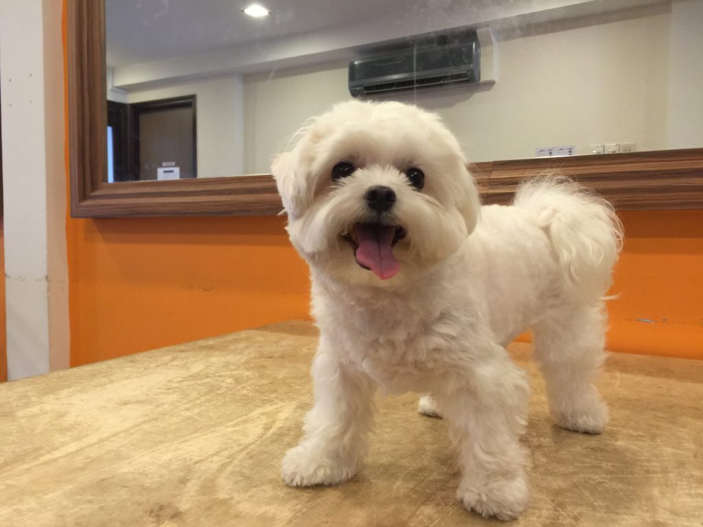 a61d15b8-30bd-4724-82d5-77b26eea1b97