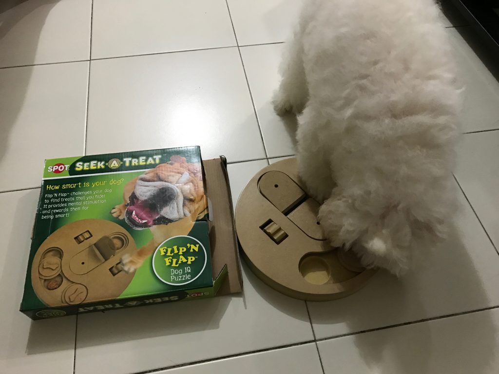 256DD0ED-093C-44B7-8582-363707EAB50E