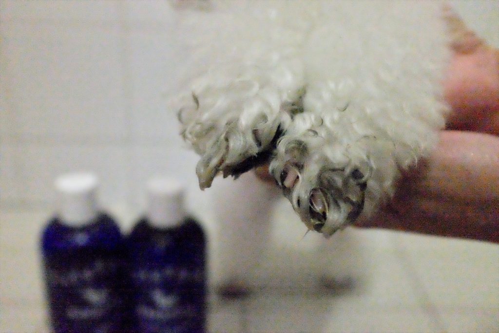 FullSizeRender.jpg-3