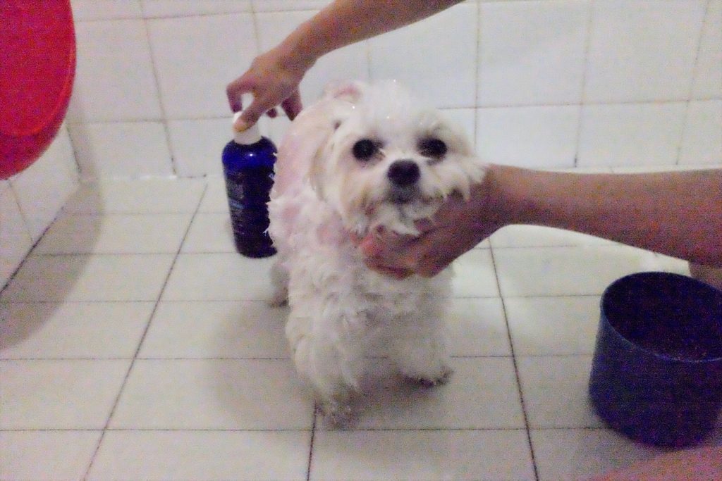 FullSizeRender.jpg-4