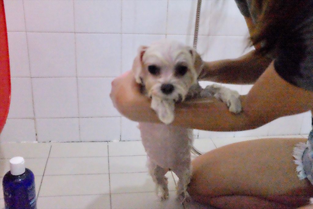 FullSizeRender.jpg-5